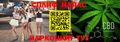 спайс Гусев