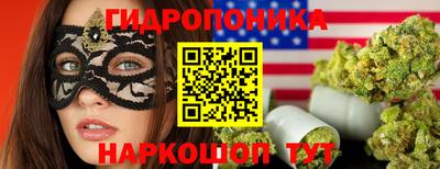 спайс Гусев