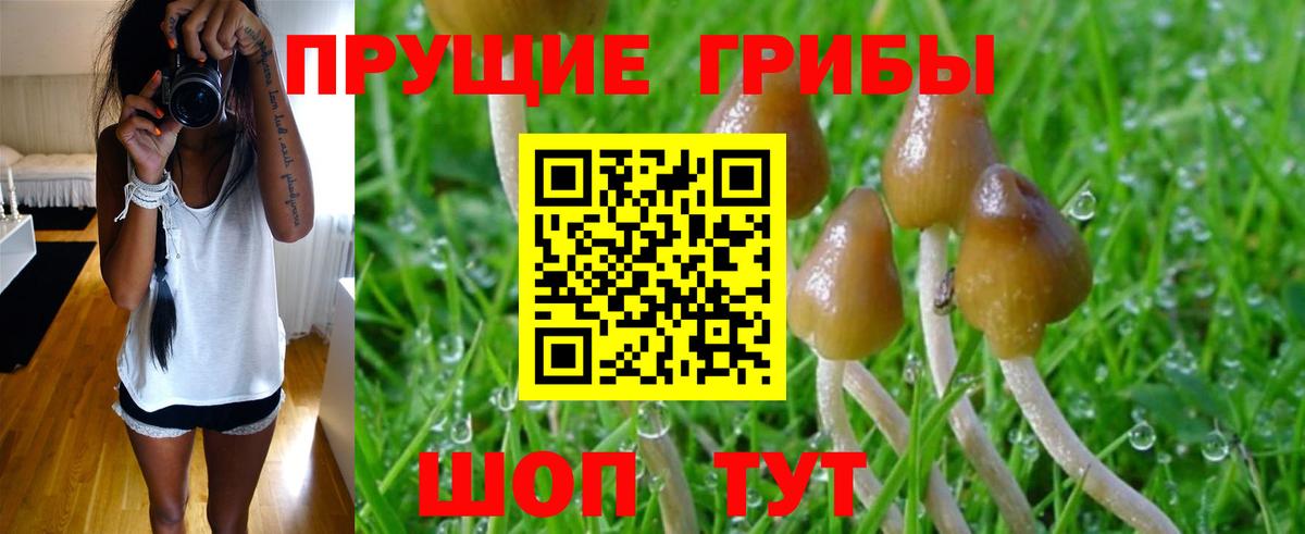 Псилоцибиновые грибы MAGIC MUSHROOMS Ялуторовск